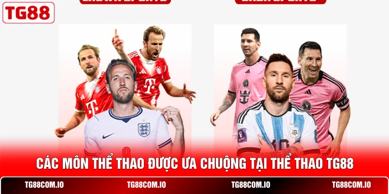 Thể Thao TG88 3 Các môn thể thao được ưa chuộng tại thể thao TG88