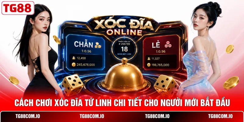 Cách Chơi Xóc Đĩa Tứ Linh Bất Bại Cho Cược Thủ Đỉnh Cao 1 Cách chơi xóc đĩa Tứ Linh chi tiết cho người mới bắt đầu